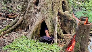 A shelter inside an old tree Cooking chicken on a tree stump  bushcraft skills [upl. by Gradey]