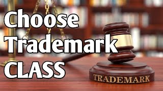 How to select the Trademark for your product or services  Trademark class NICE classification [upl. by Athene637]