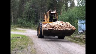 Bear Firewood and an Eagle lets not forget scrapping what a busy day [upl. by Narak]