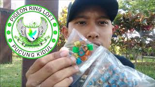 REVIEW RING MERPATI IMPORT  WAJIB BELI BUAT BURUNG MERPATI KALIAN [upl. by Ainav939]