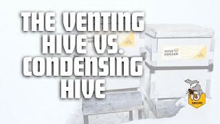 The Venting Hive vs Condensing Hive Beekeeping Winter Survival Tactics [upl. by Monte]