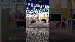 Feira de maio 2018 Azambuja colhido pelo toiro [upl. by Snashall]