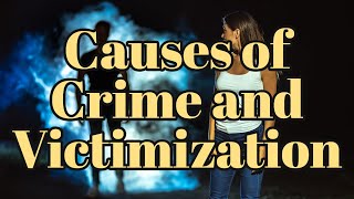 Causes of Crime and Victimization [upl. by Sukram657]