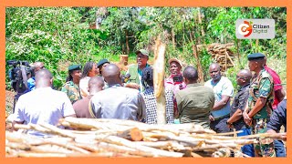 CS Duale says Karura Forest tree cutting is meant to create space for indigenous trees [upl. by Bergmans]