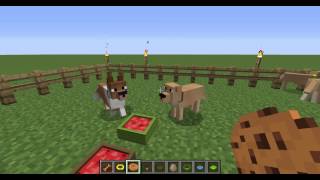 A glitch with the copious dogs mod [upl. by Karilynn]