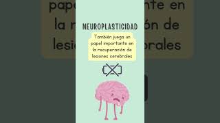 Autismo y Neuroplasticidad hablemosdeautismo [upl. by Orlando]