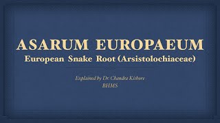 Asarum Europaeum  Allen’s Keynotes  Well Explained [upl. by Pinter]