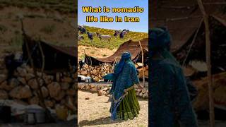 What is nomadic life like in Iran [upl. by Euf782]