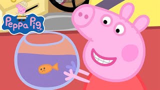 Peppa Travels by Bus  Travel with Peppa [upl. by Odelle]