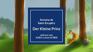 Der Kleine Prinz Hörbuch  Hörspiel 🌠 Antoine de SaintExupéry Original  Selbst Lesen ist blöd [upl. by Nena]