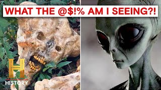 UNBELIEVABLE Eyewitness Alien Encounters  The Proof Is Out There [upl. by Muhammad]