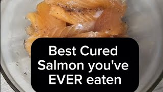 Best Cured Salmon You have Ever Eaten You Need to Try [upl. by Nunnery]