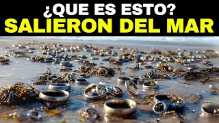 Las 20 Cosas más Extrañas Descubiertas Tras los Tsunamis [upl. by Jenei368]