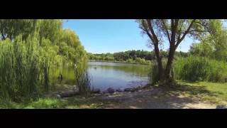 WTF Topham Pond Toronto Ontario [upl. by Naujtna]