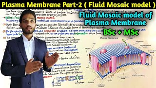 Plasma Membrane Part2  Fluid Mosaic Model of Plasma Membrane  BSc 1st year  MSc  CSIR NET [upl. by Assilam]