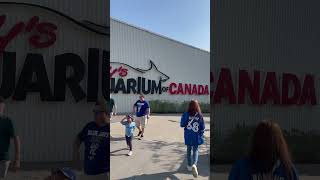 Ripleys Aquarium of Canada [upl. by Alexine]