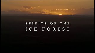 Walking With Reviewers Episode 5 Spirits Of The Ice Forest [upl. by Eniotna]