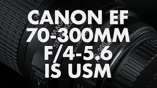 Lens Data  Canon EF 70300mm f456 IS USM Review [upl. by Aiekat]