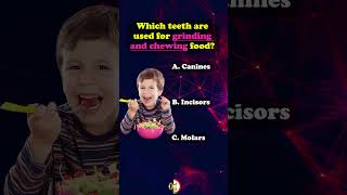 Which teeth are used for grinding amp chewing food healthquiz humananatomy facts teeth nursequiz [upl. by Lennod636]