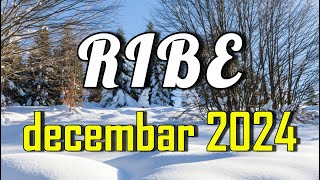 RIBE  Horoskop za DECEMBAR 2024 [upl. by Jamille]