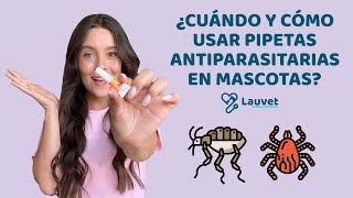 PIPETAS ANTIPARASITARIAS EN MASCOTAS ¿Cuándo usarlas y cómo aplicarlas  Lauvet [upl. by Fu]