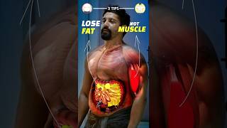 Lose Fat Without Losing Muscle 3 tips [upl. by Buckden795]