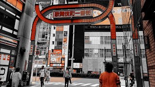 I Went To Yakuza Locations In Real Life [upl. by Aniez]