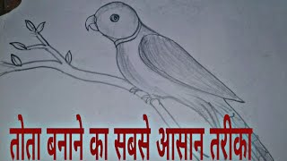 Parrot banane ka sabse aasan tarika Ln study guide [upl. by Howlend510]