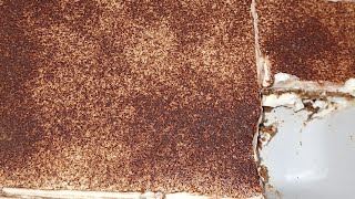 Recette du quotTiramisu au Speculoos Cannellequot facile et rapide [upl. by Zampardi]