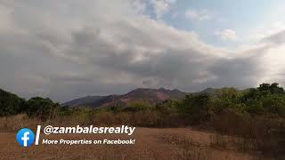 39 Hectare Mountain View Farm in San Antonio Zambales [upl. by Vani]