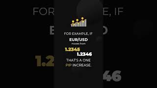 Forex Trading Jargon Explained  Understanding Pips and More  Neuron Markets forex trading [upl. by Aronaele976]