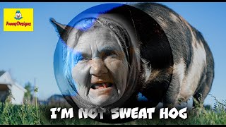 I’m Not Sweat Hog song parody of I’m not Lisa by Jessi Colter Russian style  with lyrics [upl. by Noiraa886]