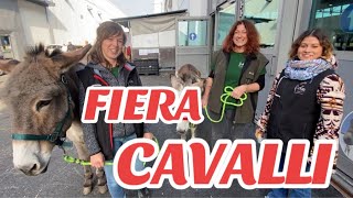 FIERA CAVALLI 2024 Verona fiere [upl. by Raddi]