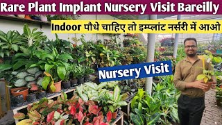 Plant Nursery Visit With Price👌Implant Nursery Visit Bareilly👌Indoor Plant Nursery Visit🌹Nursery👏 [upl. by Aamsa562]