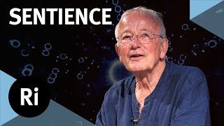 How did consciousness evolve  with Nicholas Humphrey [upl. by Hsevahb]