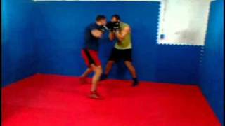 Bor BratovĹž vs Tomislav Ĺ ude boxing sparring [upl. by Balling]