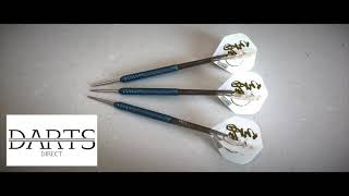 Darts Direct  One80 Ice Dragon Dart  90 Tungsten [upl. by Stock724]