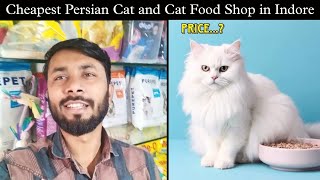 Cheapest Persian Cat and Cat Food Shop in Indore  Persian Cat seller in Indore  Uwais Ansari [upl. by Enelhtak]