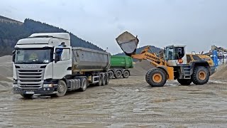 Liebherr 566 load Scania with trailer [upl. by Clarie]