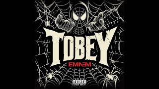 TOBEY  EMINEM INSTRUMENTAL COVER [upl. by Eadith]