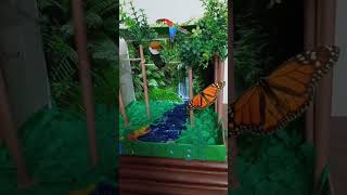 rainforest habitat science project  grade 3  easy science projects [upl. by Krock]