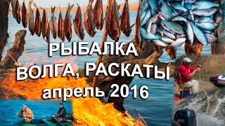 Рыбалка Волга Раскаты Весна 2016 [upl. by Gagne]