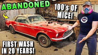 I Found The DIRTIEST Ford Mustang Sitting in a BarnCan it be Cleaned [upl. by Onibag]