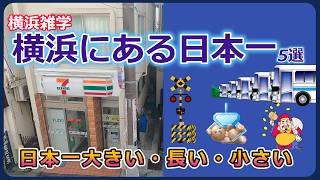 横浜にある日本一の●●５選【大きい・長い・小さい】 [upl. by Pachton]