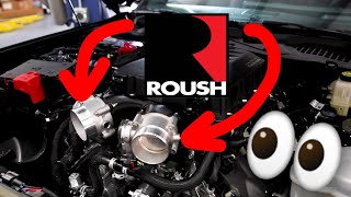 NEW 2024 Mustang Roush Supercharger [upl. by Asle42]