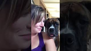 A woman and a Boxer dog take turns sticking their tongues out at the camera 🤣 🎥 ViralHog [upl. by Burdett]