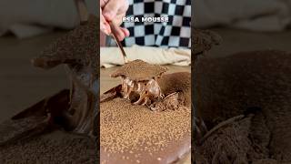 REVELEI O SEGREDO DE UMA MOUSSE DE CHOCOLATE 😋 sobremesa receitasfaceis receitafacil doces [upl. by Muraida302]