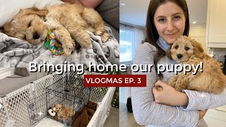 BRINGING HOME OUR CAVAPOO PUPPY  VLOGMAS Ep 3 [upl. by Zanas186]