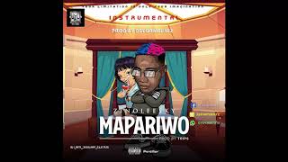 Mapariwo Instrumental Prod by Dstormbeatz [upl. by Nirret]