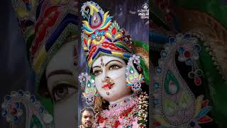 Maa bhakti div Vaishno Devi viralvideo maavaishnodevibhawan [upl. by Heinrick]